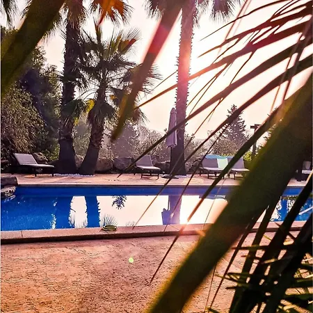 Yourhouse Son Morey Villa